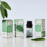 California White Sage Essential Oil Diffuser Blend (30ml) by Aromafume. Salvia Apiana. White Sage...