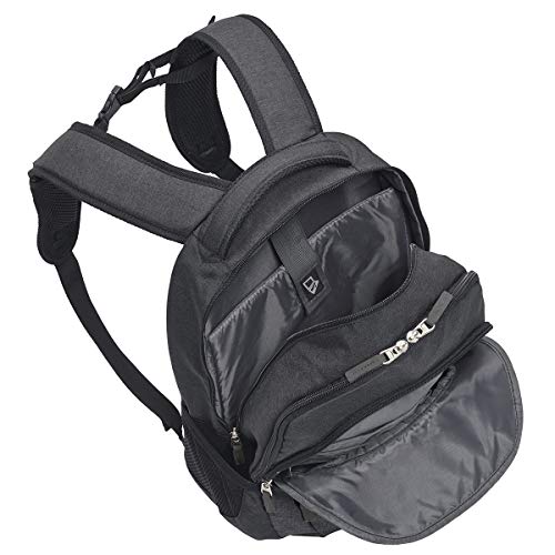 travelite Handgepäck Rucksack, Laptop Rucksack 15,6 Zoll, BASICS, Daypack, Tagesrucksack mit vielen Fächern, 45 cm, 22 Liter