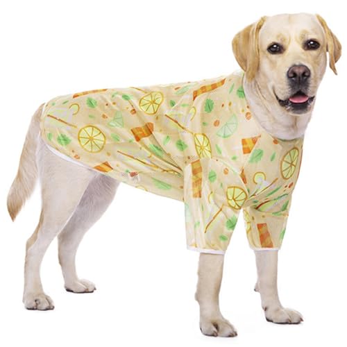 pVcxXgyʌpTVcAėpvg\tgN[VcA^^pApjppW}(GTX03-T-IW-3XL)