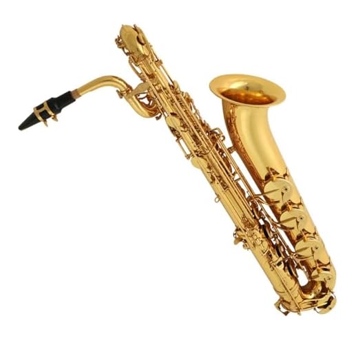 VBDEFRT Baritone Saxophone In B Flat With Lacquered Gold Surface Bass Playing