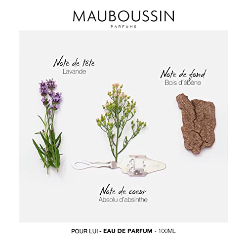 Mauboussin - Pour Lui 100Ml (3.3 Fl Oz) - Eau De Parfum For Men - Ferny & Modern Scents #TOP3