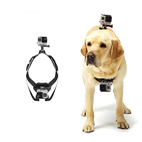 Hundegeschirr Für Gopro, Weiches Und Verstellbares Gopro-Hundegeschirr Für Große, Mittlere Und Kleine Hunde Kann Zur Brust- Und Rückenfixierung Verwendet Werden