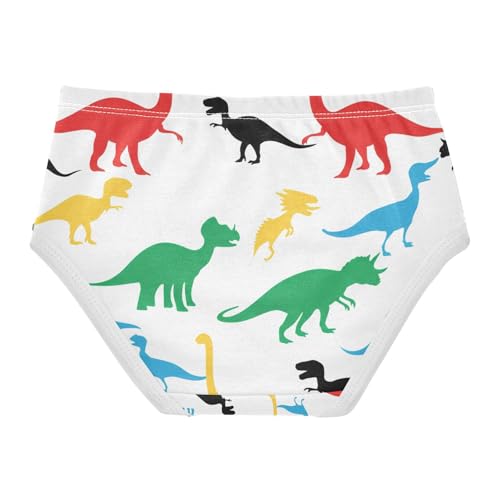Dinosaur Toddler Girls's Underwear 2T 202c11362