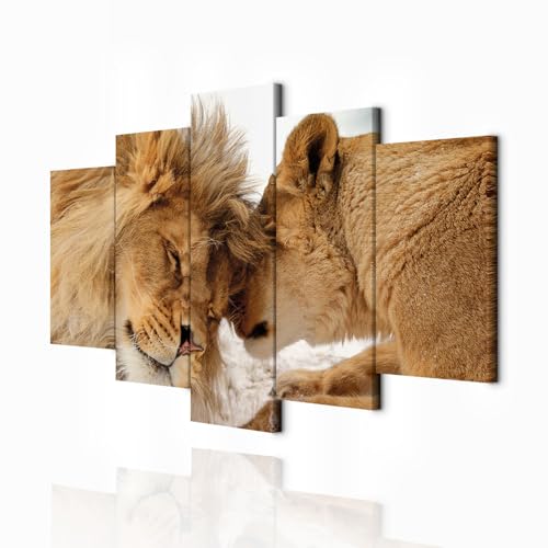 decomonkey Bilder Löwe Afrika 200x100 cm 5 Teilig Leinwandbilder Bild auf Leinwand Wandbild Kunstdruck Wanddeko Wand Wohnzimmer Wanddekoration Deko Tiere Wildlife Natur