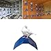 Produktbild 10Pcs Dove Rest Stand Taubenstangen Roost Frame Shelf Bird Supplies Grill Wohnständer Für Pigeon Dove
