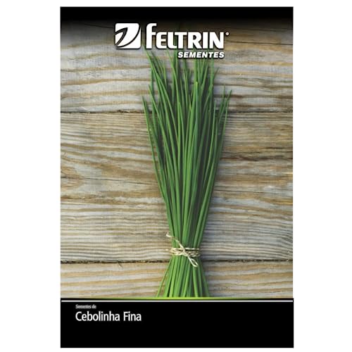 Kit 4 Sementes Tempero Jardim Horta Em Casa (Salsa Graúda, Cebolinha Fina, Manjericão, Coentro)