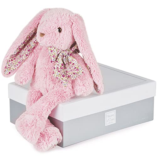 Histoire d'Ours - Peluche Lapin Rose - Copains Calins - Boîte Cadeau - Taille 25 Cm - Douce et Mignonne - Doudou Idée Cadeau de Naissance, Noël ou Anniversaire pour...