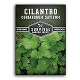 Cilantro Seeds for Planting | Heirloom Non-GMO Coriander Herb | Indoor & Outdoor Garden Growing | Fast Growing, Reliable Harvest – Survival Garden Seeds (1 Pack)