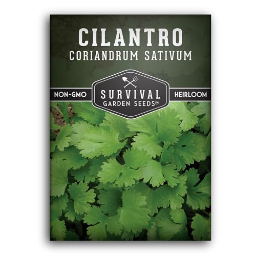 Cilantro Seeds for Planting | Heirloom Non-GMO Coriander Herb | Indoor & Outdoor Garden Growing | Fast Growing, Reliable Harvest – Survival Garden Seeds (1 Pack)