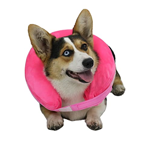 TT.WALK Aufblasbares Halsband für kleine, mittelgroße Hunde und Katzen, weiches Hundehalsband, nach Operationen, aufblasbares Haustierhalsband mit verstellbarer Schnalle, Rosa (M) Cover