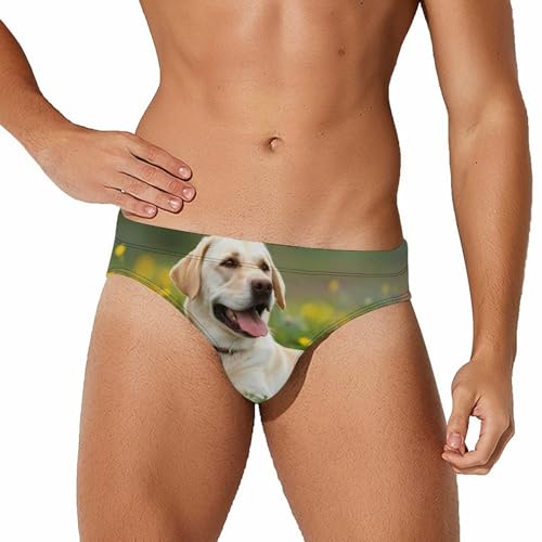 Labrador Retriever Dog Lazy Time Novelty Men's Brief Swimwear Pants Swimming Trunks Beach Shorts Underwear