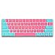 Catekro PBT Tastenkappen, Standard Doubleshot Tastenkappen-Set, OEM-Profil, Durchscheinende Tastenkappen für DIY Mechanische Tastatur (Rosa+Blau)