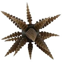 Amazon.co.jp: アロス (AROS) ダブルネックス マンカイ (DOUBLE NEX