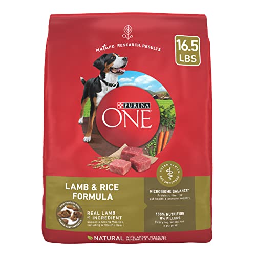 Purina ONE Dry Dog Food Lamb and Rice Formula - 16.5 lb. Bag