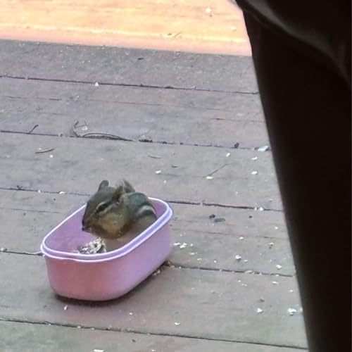 Episode 266 - Kelly Magee's podcast