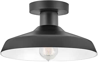 Hinkley Forge 12072AL Small Outdoor Flush Mount Light Fixture, Warehouse Industrial Style, Composite Material, Anti-Fading Finish, Black