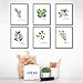 Kitchen Herbs Art Prints - Botanical Prints - (Set of 6) - Unframed - 8x10s | Dining Room Decor - Gifts for Chef or Cook - Restaurant Decor - Rosemary, Thyme, Mint, Parsley, Oregano, and Bay Leaves
