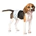 ValueWrap Disposable Male Dog Diapers, 1-Tab Medium, 72 Count - Absorbent Male Wraps for Incontinence, Excitable Urination & Travel, Fur-Friendly Fasteners, Leak Protection, Wetness Indicator