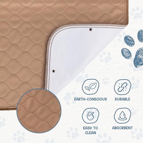 Image of EZwhelp Washable Pee Pads for Dogs - Waterproof Training Pads for Dogs, Reusable & Sanitary, Rounded Corners, Laminated, Lightweight, Durable, Pet Essentials for Training and Whelping, 47 inch x 47 inch