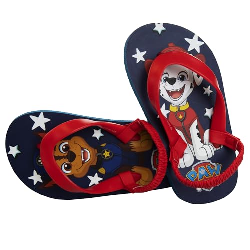 Image of Nickelodeon Girls Boys character flip flops sandals kids water shoes - Paw Patrol Blues Clues Baby Shark - thong beach slides summer slip on quick dry toddler little kid