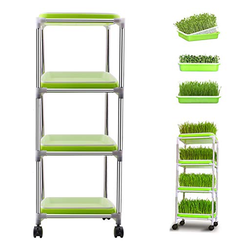 AIICIOO Kits de germinación de la Bandeja de germinación de Semillas - 4 Niveles Cultivo de Vegetales Cultivo hidropónico Plato Cultivador de Hierba con Estante de Acero Inoxidable Soporte