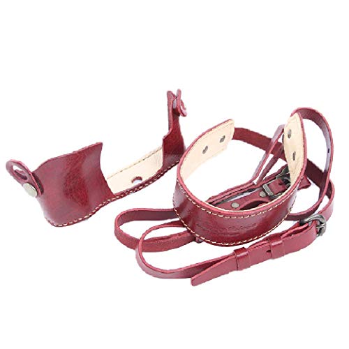 x OM-D E-M10 z_[&Xgbv ROBERU {h[