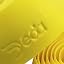 Yellow Fly