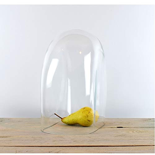 EMH - Campana de cristal ovalado (30 cm)