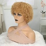 Plecare Blonde Afro Wigs for Women Human Hair Short Kinky Curly Wig Wear and Go Glueless Wig 70s Cosplay or Daily Use (Blonde 27#)