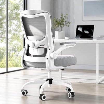 Ergonomic Office Chair for Long Hours, Adjustable Padded Lumbar Support for Lower Back Relief, 330 lb Capacity, Comfortable Computer Desk Chair for Home Office, Work & Study