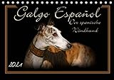 galgos greys & more Autor(in): Andrea Redecker Galgo Español 2021- Der spanische Windhund (Tischkalender 2021 DIN A5 quer)