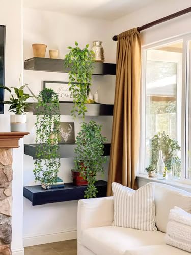 Image of RECUTMS Fake Hanging Plants with Pots 3 Pack Artificial Ivy Vine Fake Potted Eucalyptus Plants Mandala Ivy Vine Leaves Pea Pod Summer Home Room Shelf Wall Indoor Outdoor Wedding Graduation Decor