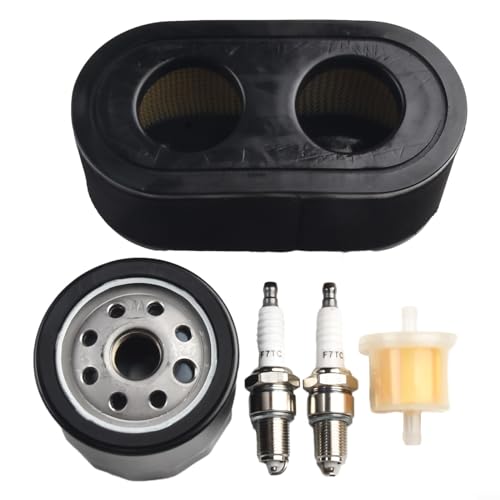 Filtre à air de rechange Toro Timecutter pour moteur V-Twin sain