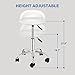 HomGarden Height Adjustable Rolling Swivel Salon Stool, PU Leather Hydraulic Ergonomic Chair with Backrest Wheels for Office Work Tattoo Massage Facial Spa Manicure Dentist Clinic, White