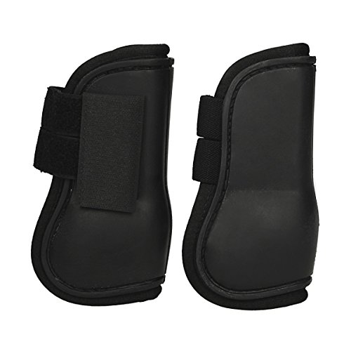 Guêtres Mini HB isolantes pour préserver les tendons des mini shetlands