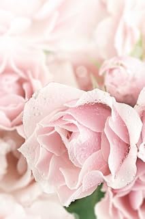 Tea Rose Premium Fragrance Oil, 16 Oz. Bottle