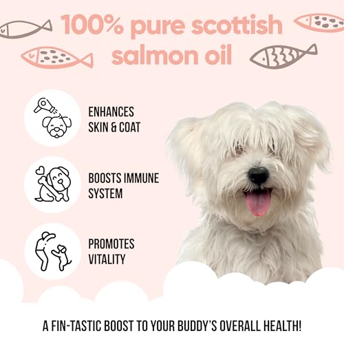 Buddycare Scottish Salmon Oil for Dogs and Cats (1L x2) 100% Natural & Sustainable Supplement | Rich in Omega 3, 6 & 9 for Boosting the Health & Vitality of your Pet’s Skin, Coat & Immune System - Image 4