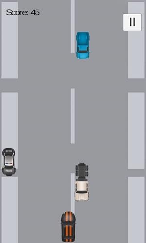 Traffic Survival
