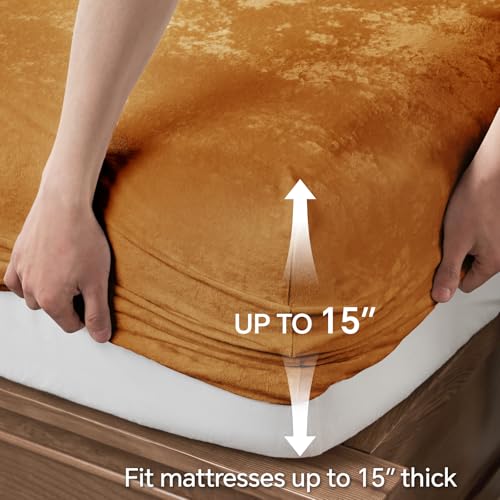 BEDELITE Velvet Fitted Sheet and Pillowcases Set, Luxury Soft Fuzzy Bottom Sheet with Reinforced Elastic Corner Straps, Deep Pocket up to 15 Inch, 1 Fitted Sheet and 2 Pillowcases (King, Burnt Orange)