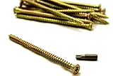 AF4F - Juego de 20 anclajes de tornillo de fijación para marco de hormigón de 42 mm x 7, carpintería general con Torx libre de 30 bits