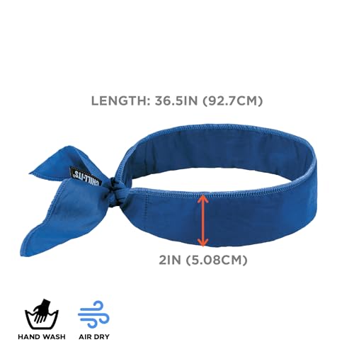 Image of Ergodyne - 12399 Chill-Its 6702 Cooling Bandana, Evaporative Polymer Embedded Material for Cooling Relief Solid Blue, One Size