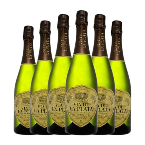 Vía de la Plata Chardonnay Brut Nature Cava 75 cl Espumoso blanco (Caja de 6 Botellas de 75 cl)
