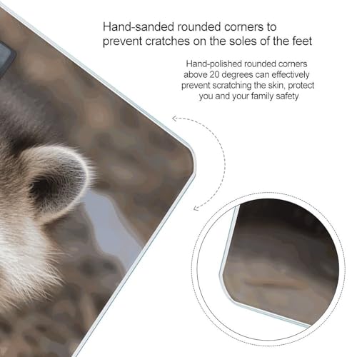 Báscula Digital de Baño Cub Raccoon para Peso Corporal miniatura 4