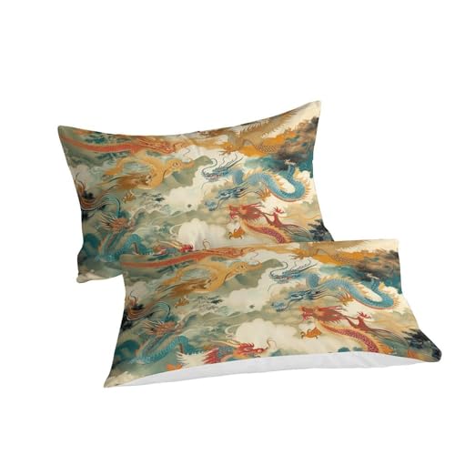 Housse de couette dragon 3D ensemble de literie microfibre 220x240 - 3