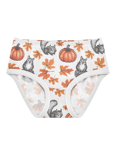 ZZKKO Maple Leaf Pumpkin and Squirrel Girls Underwear Toddler Panties for Girls Comfort Brief Size 2T