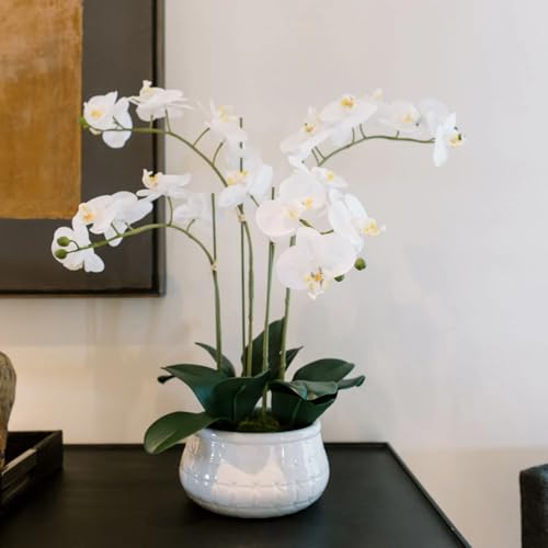 Image of CG Hunter, Faux White Orchid Plant, 23 in, White, Home Decor