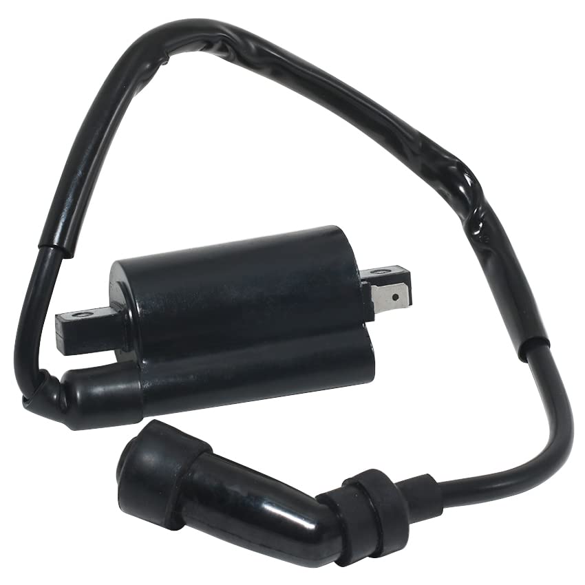 Amazon.com: Ignition Coil Ignition Coil Assy 4DN-82320-00 4DN
