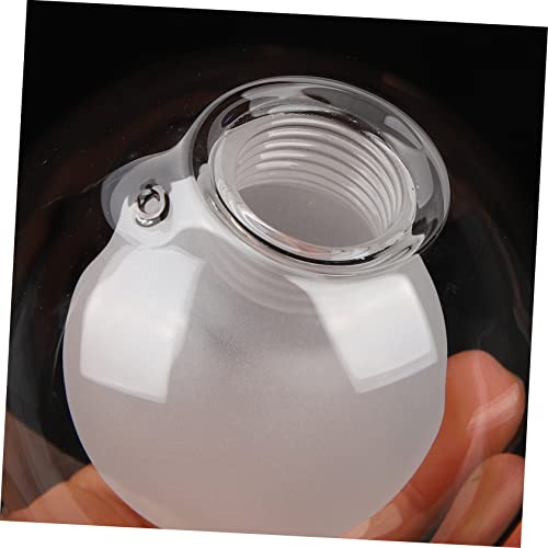 Image of Zerodeko 2pcs Vintage Glass Lamp Shade Replacement Glass Globe Lampshade for Ceiling Light