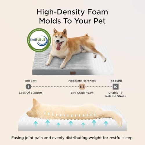 Bedsure Dog Beds Large Sized Dog- Orthopedic Pet Beds with Removable Machine Washable Cover, NOT Waterproof Egg Crate Foam Puppy Pad, Suitable for Pet Up to 50 lbs, 35"x22" image 3
