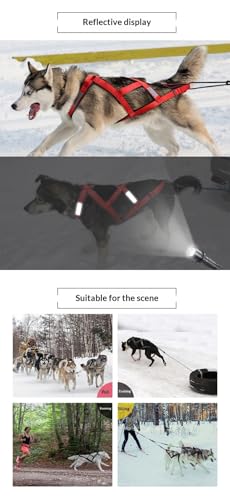 Zuggeschirr für Hunde | Ultra-Robust & Reflektierend | Aktivgurt für Schlittenhunde, Sport & Training | Komfortabel & Ausgezeichnet(Rot,L)
